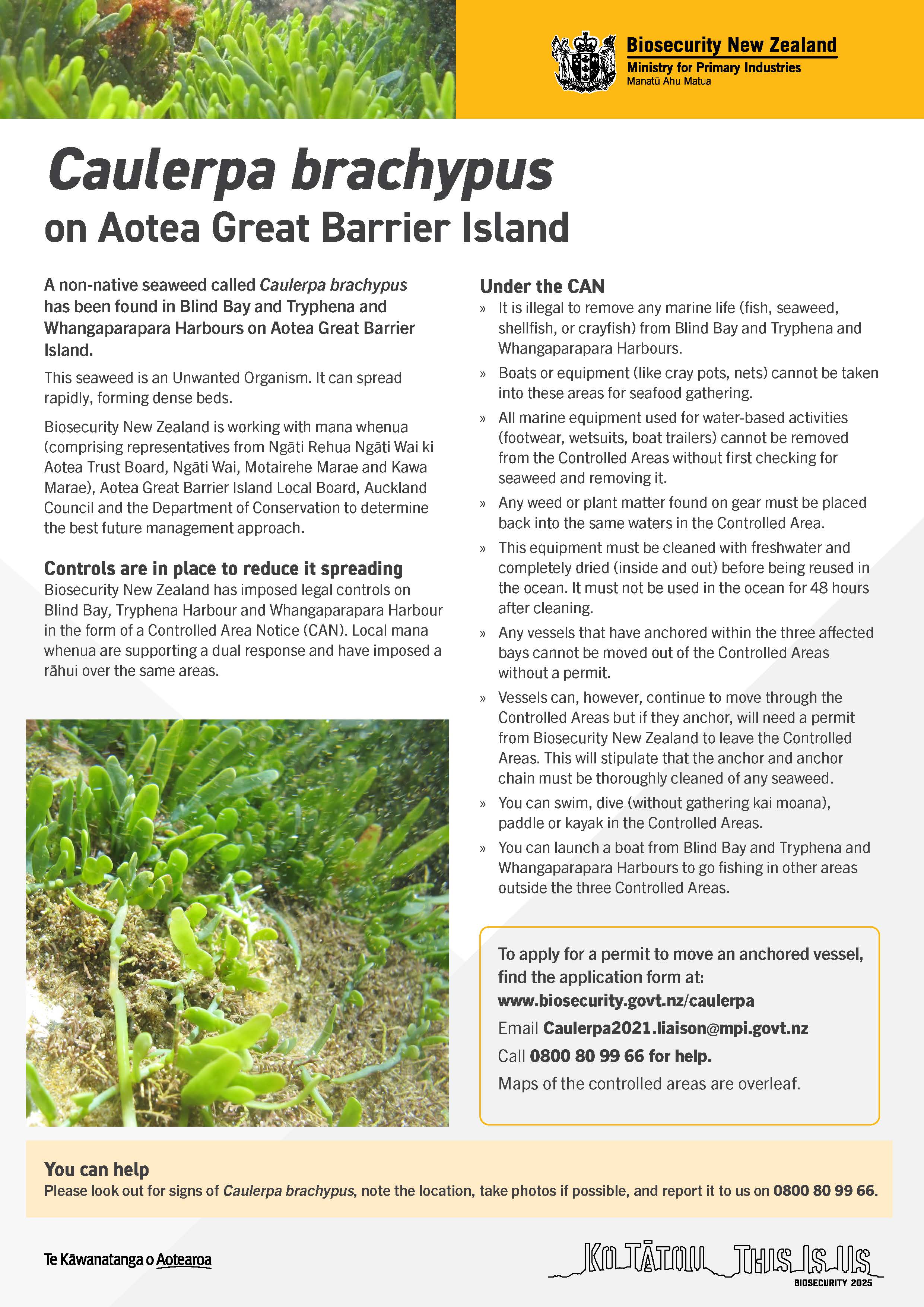 47623 BNZ Caulerpa Brachypus CAN A C Aotea Oct 2021 V2 Page 1 (1)